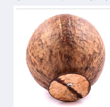 Eco Friendly Handmade Coconut Shell Made Coin Bank Money Saving Bank Coconut She'll Bank. 