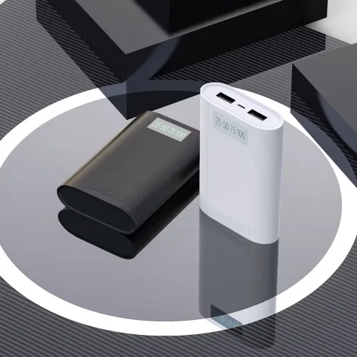 KINGLEEN Smart Power 10000mAh USB Power Bank Portable Charger