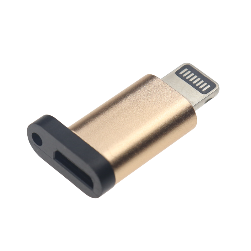 USB type C to lightning converter. 