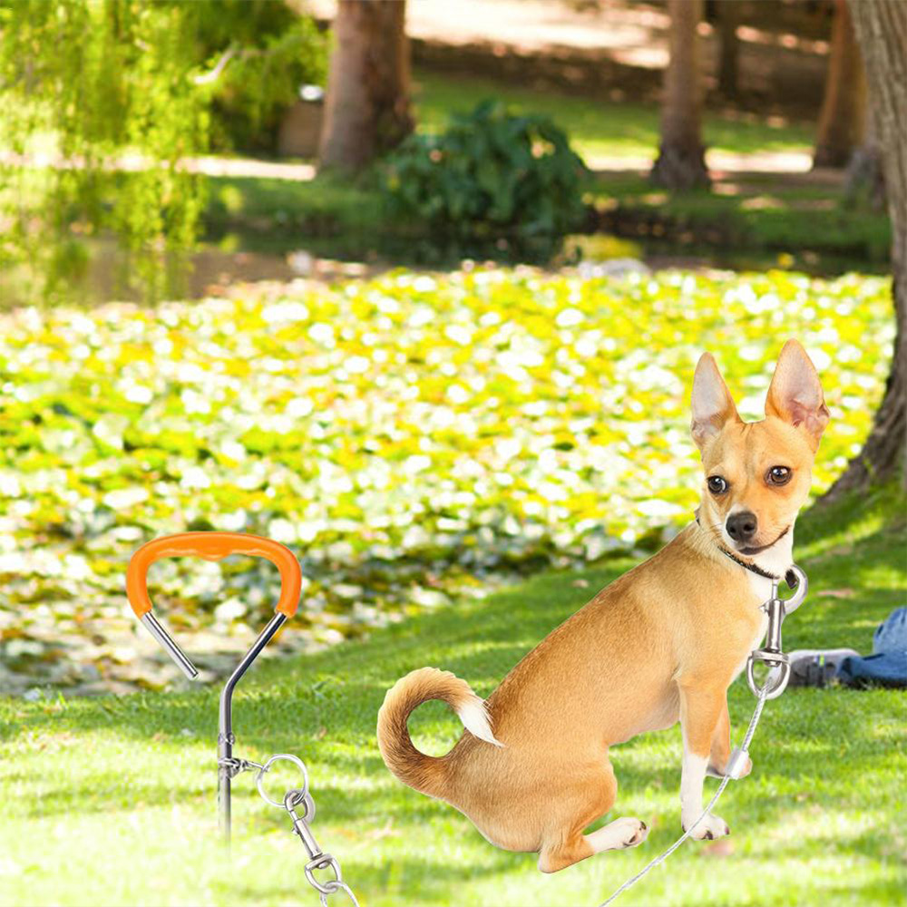 How Do I Protect My Dog From Outside Wires