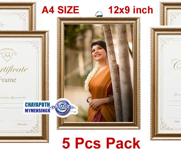 5 Pcs Pack Pistto Picture Photo Frame High Clarity Ready to hang Wall, Award, Certificate, Diploma, Document Made to Display Picture Photo Size A4 (21*29.7 CM) Gold Color. 