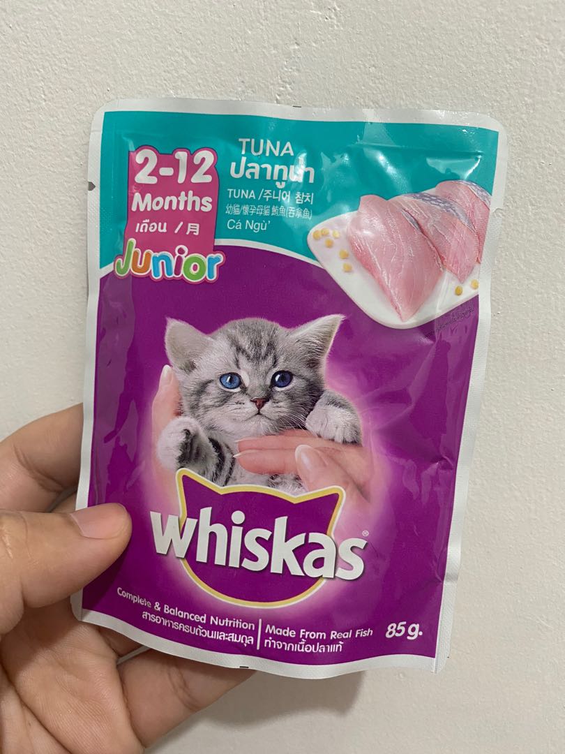 whiskas junior wet