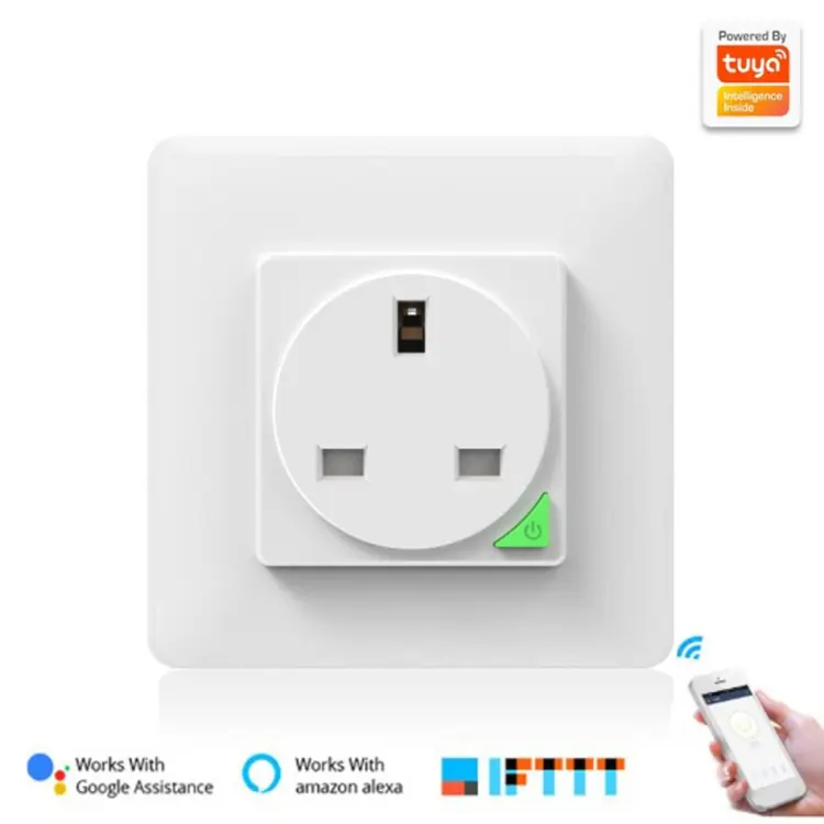 220v smart best sale plug alexa