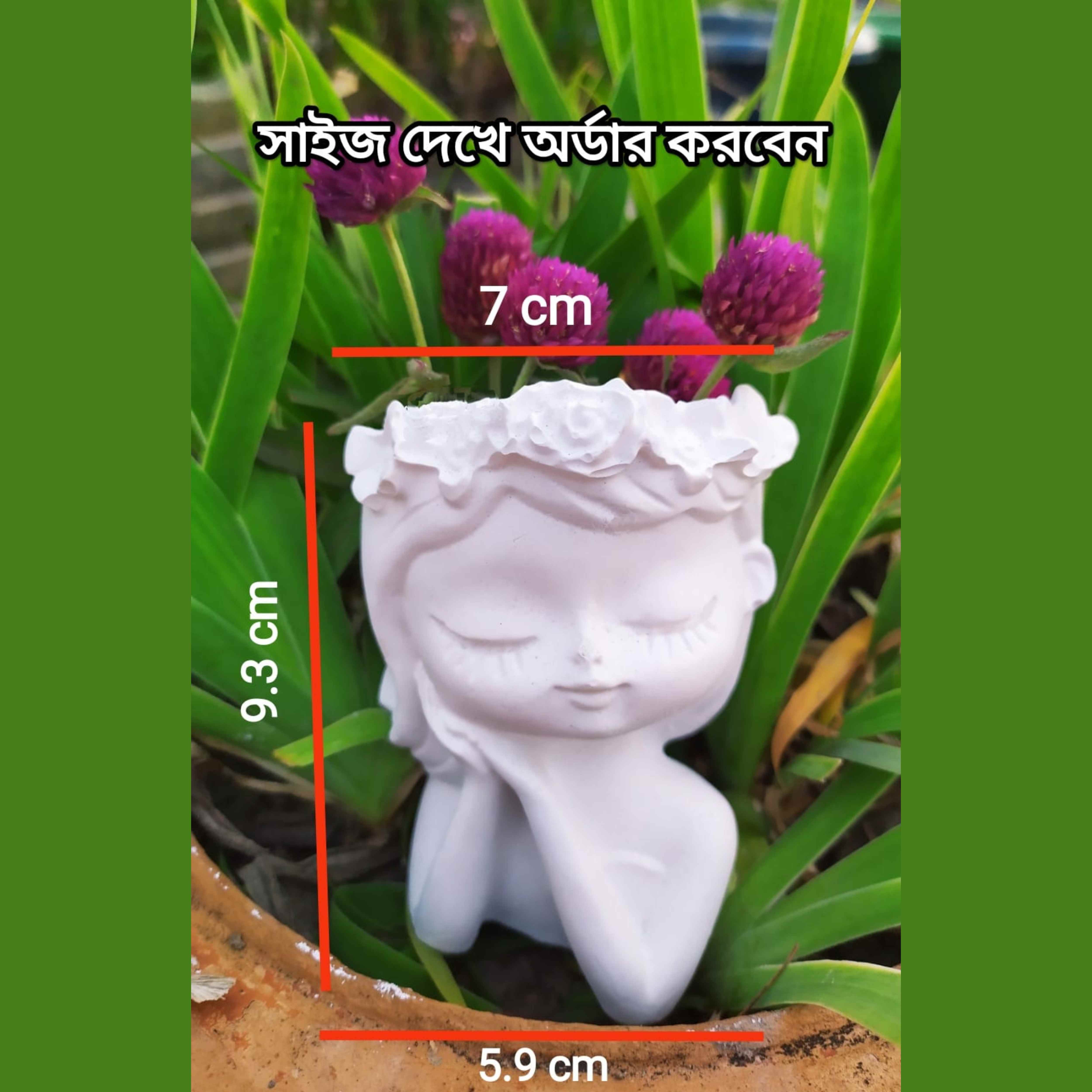 Fairy Succulent Flower Pot & Show Piece For Gift