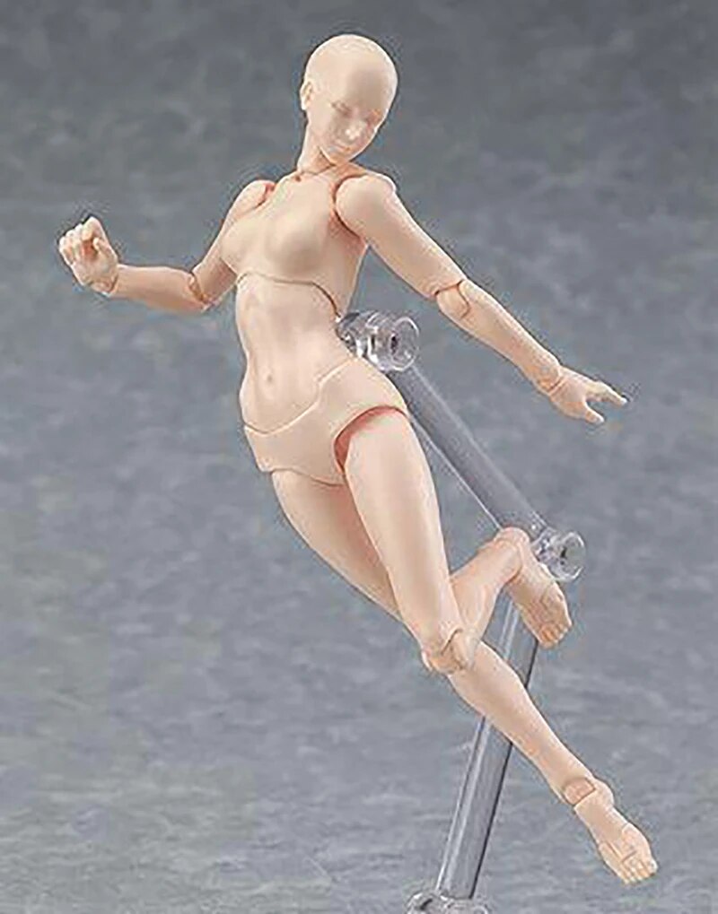 BODY KUN BODY CHAN Action Figure Figma Archetype He She Ferrite Collectible Model Toy with Stand Doll. 