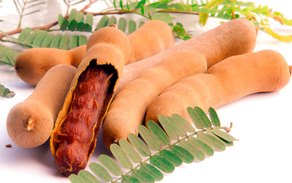 Tamarind Sour / Tetul ( Fresh Quality) -100gm _Paka Tetul-JAR. 