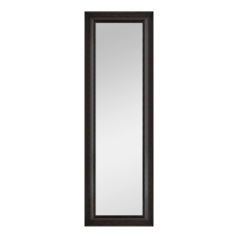 Over The Door Mirror Full Length Mirror,17X53IN Wall-Mounted Mirror, Rectangular Door Mirror Hanging with for Bedroom,Bathroom