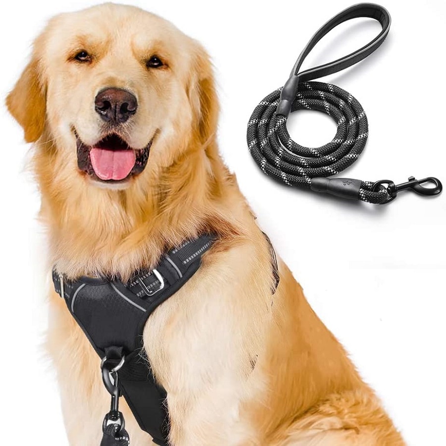 Rabbitgoo No Pull  Harness and Leash Set for   Collars Adjustable Pet Vest Harness Training  Leash For Large s. 