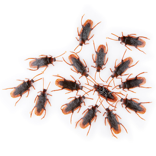 Cockroach 5 pcs Realistic Insect Prank Funny Toys Simulation Insect Toy Chinese Silicone Soft Simulation Plastic Cockroach Toy Realistic. 