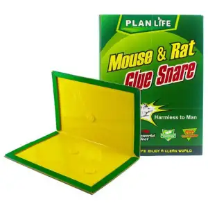 Mouse trap clearance price