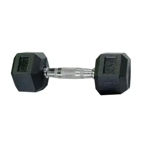 5 kg best sale dumbbell pair price