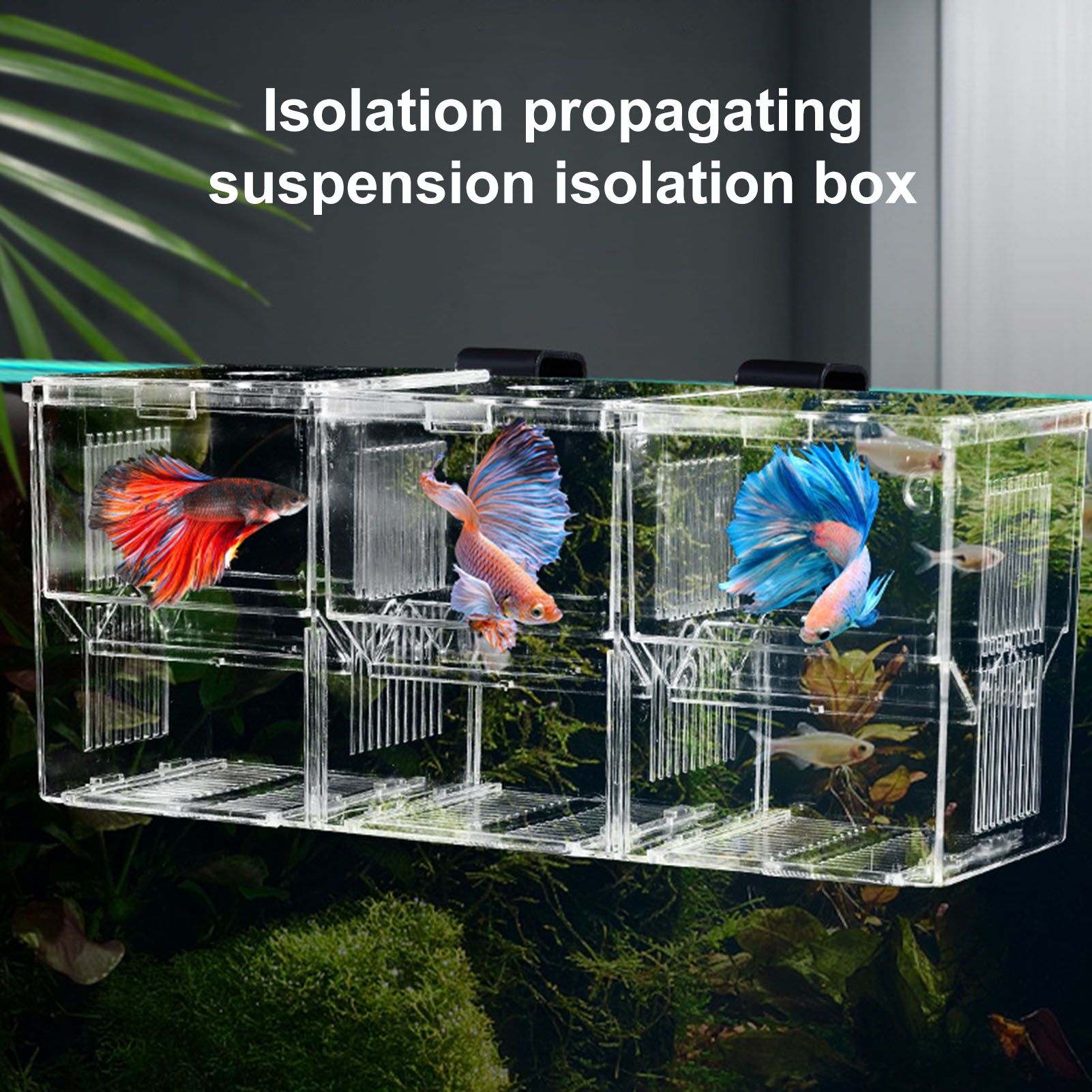 Radiant Isolation Box for Fish Tank Transparent Multi-grid Fish Breeding Box for Shrimp Clownfish Aggressive Fish Ideal for Easy Observation Incubation Box. 
