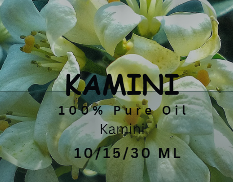 Kamini Essential Oil 0.5 Oz (15ML) / 1 Oz (30ML) / 50ML / 100ML Aromatherapy Fragrance for Candle Making. 