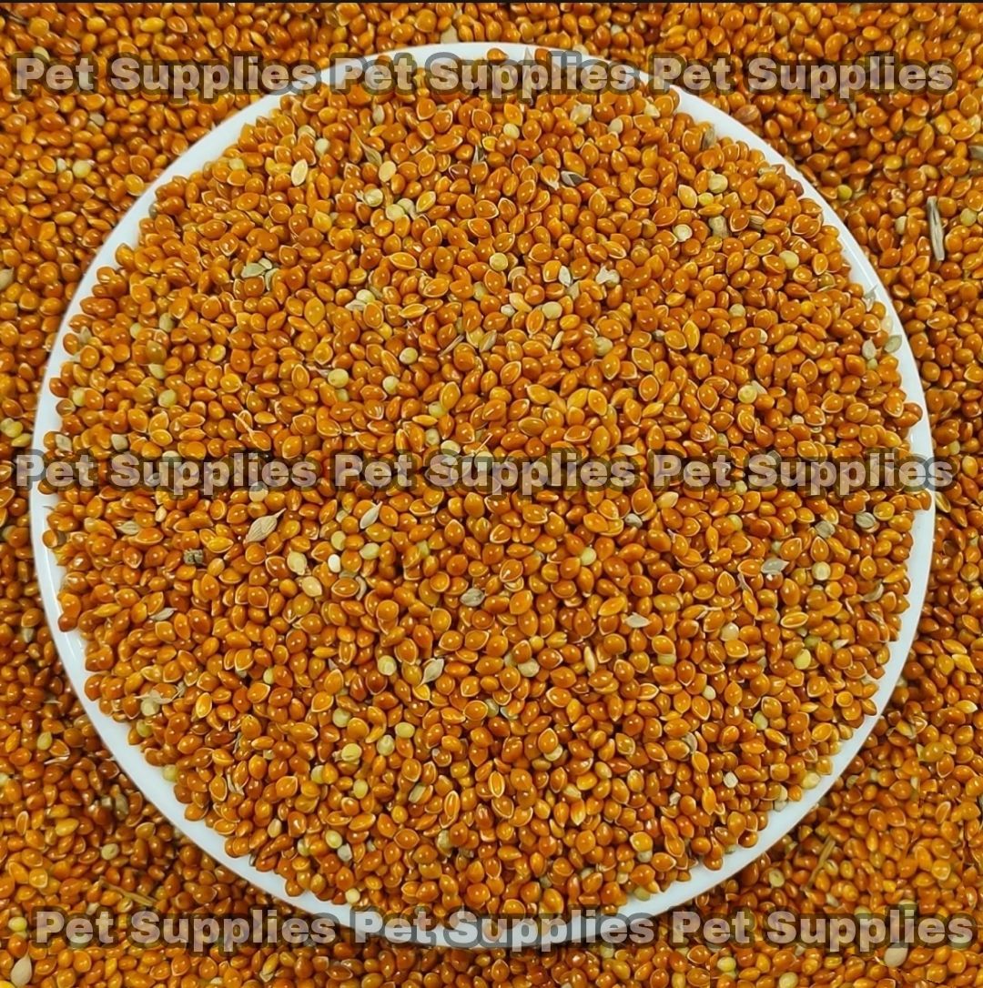 Red Millet For Birds -1kg. 