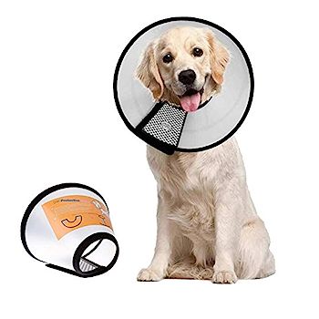 Buy dog shop cone collar