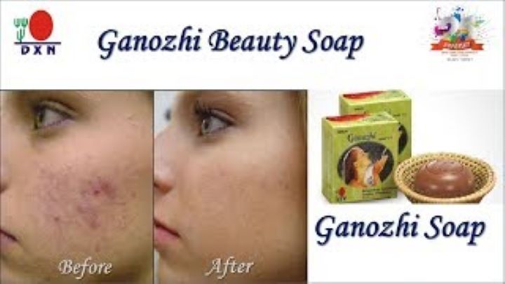Ganozhi Soap With Ganoderma Palm fruit extract in natural soap. 