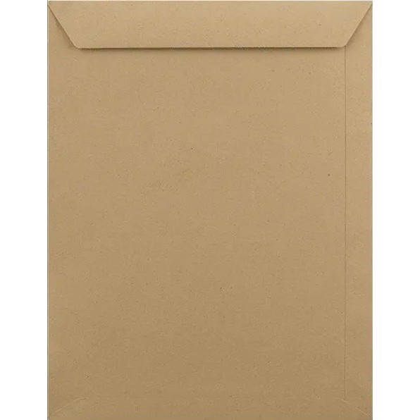 Brown Envelopes (Khaki Kham) Folding Pocket For Invitations Cards, Photos, Letters, Strong Bond Paper, by Better Office Products,  Great Option for Mailing, Storage and Organizing, Size A4 (Length 31.50cm X Width 27.50cm), Pack of 200 PCS. 