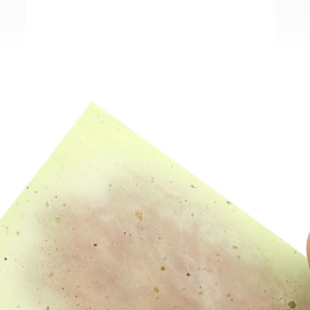 Individually packed Facial blotting paper Eco-friendly Compact size 100 pieces Oil absorbing sheets Portable Fragrance-free. 