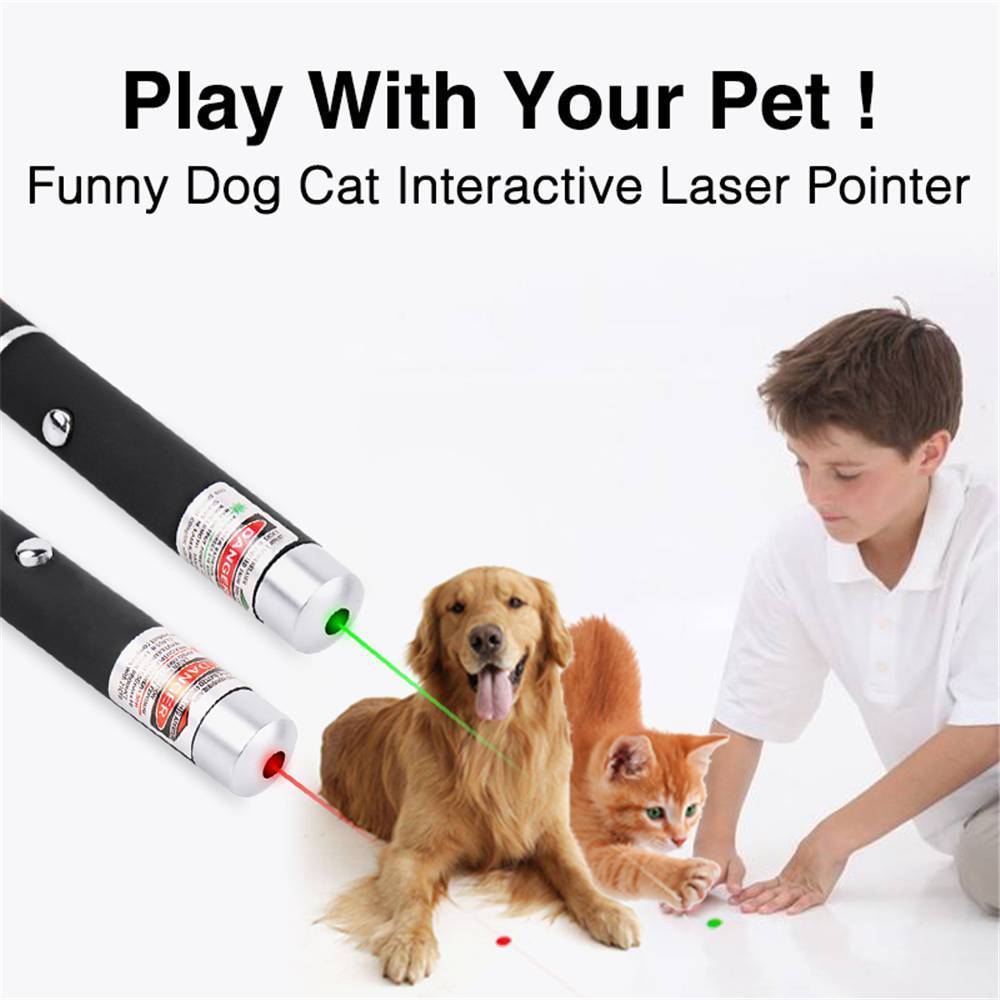 【Lejia】650nm 5MW Red-light Single-point Laser Pointer for eaching our Conference Exhibition. 