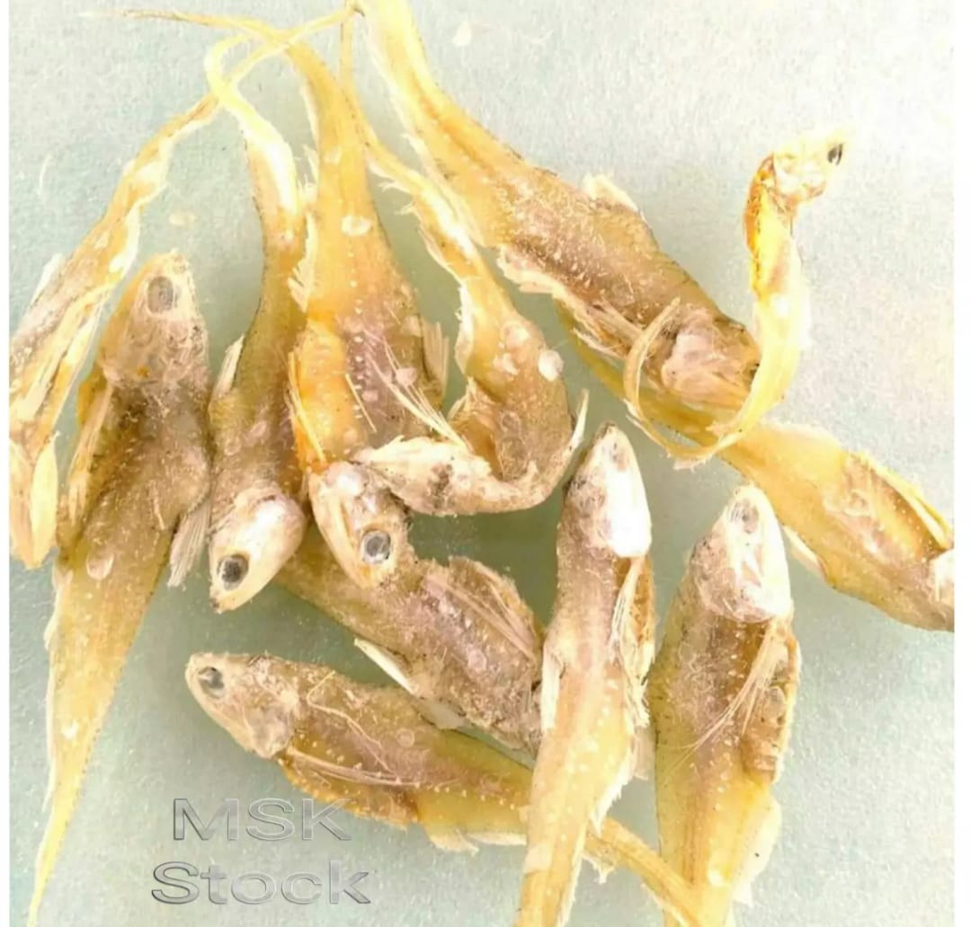 Rabaila Shutki(Sundori)- Olua Dry Fish - 250gm