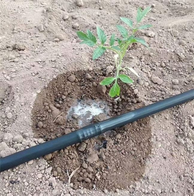 16mm Drip Irrigation LDPE Pipe with Round Emitter 30cm Spacing, Flow Rate 4 LPH, Thickness 0.8mm for Agriculture Garden Watering Drip Irrigation System.. 