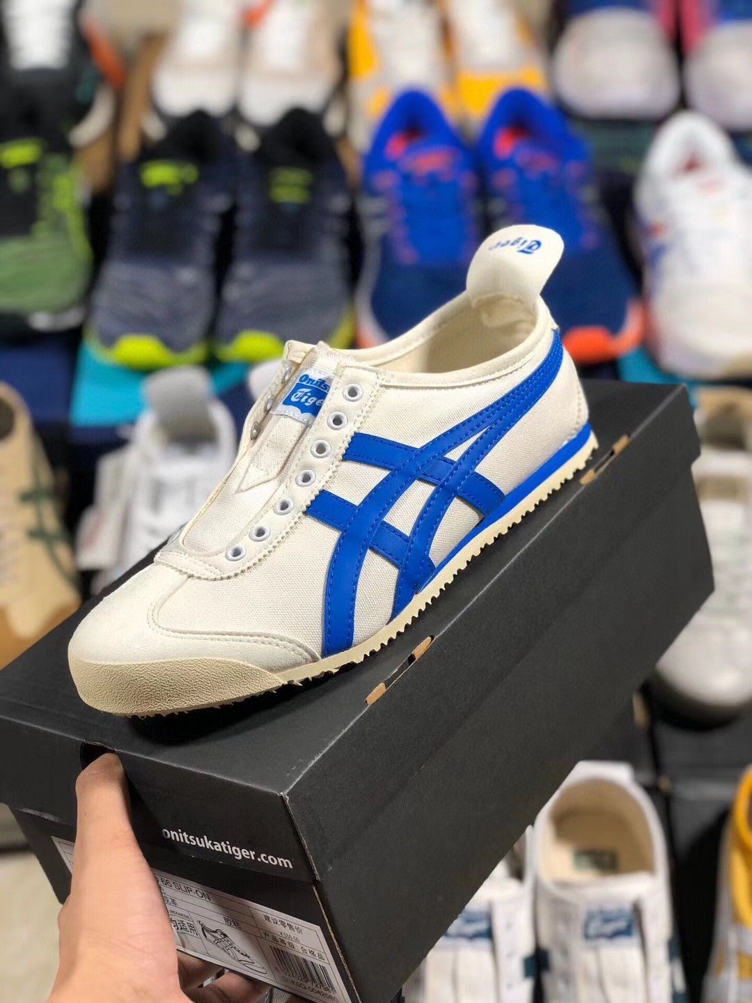 Asics onitsuka shop tiger pantip