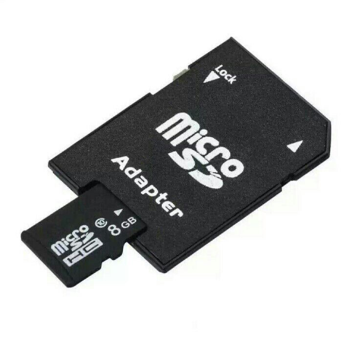 Micro SD to SD Memory Card Adapter. 
