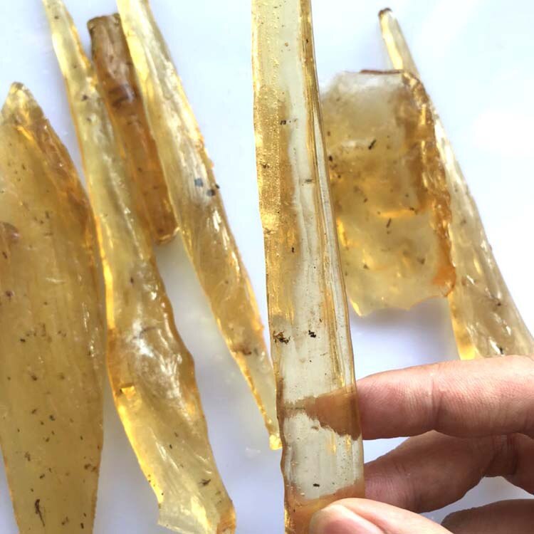 【VisioN Shop】Nahuatal Coba resin Rare Natural Rough Copal Amber With Insects Specimen Minerals for Teaching sample. 