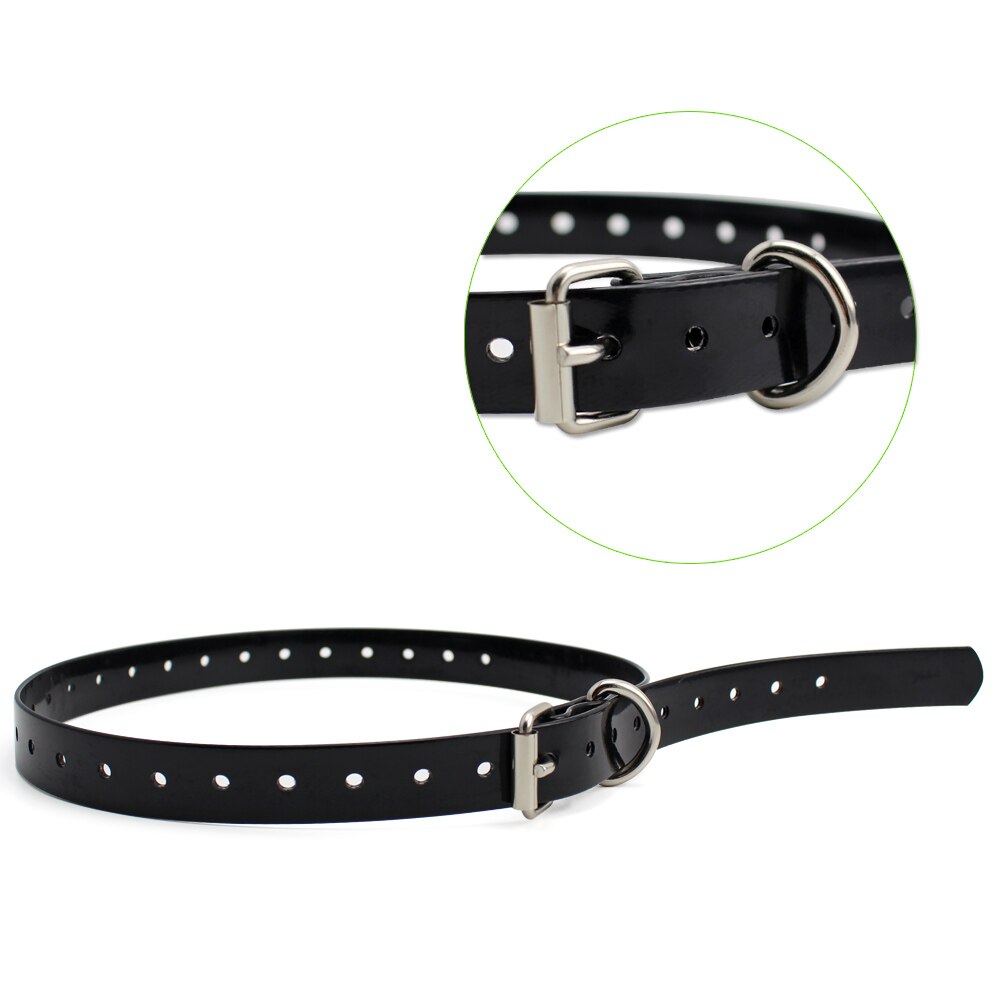 Petrainer 998DB and iPets 619 s Black  collar. 