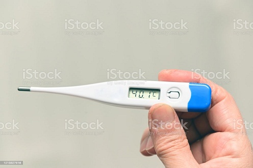 Digital Thermometer Replaceable Battery. 