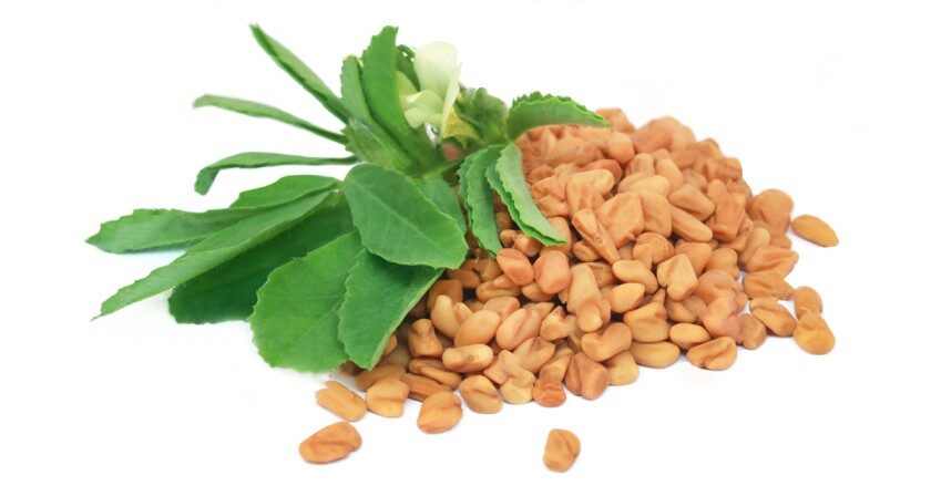 মেথি মিক্স পাউডার=১০০গ্রাম / Methi Mix Powder=100g. for permanent solution of gastric.. 