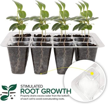 Seedling Tray 12 Cell/Hole (1.8\"X1.8\"X1.8\" Hole Size)