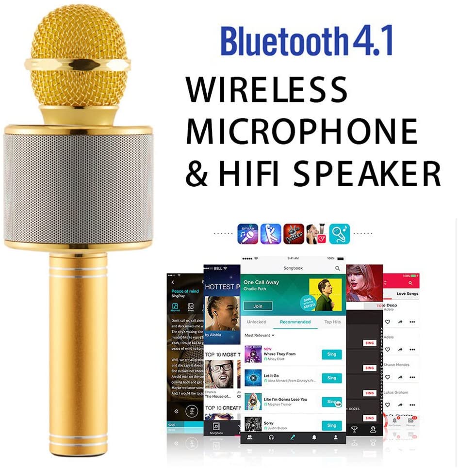WS-858 Wireless Bluetooth Karaoke Microphone Speaker Handheld Mic USB KTV - Microphone. 