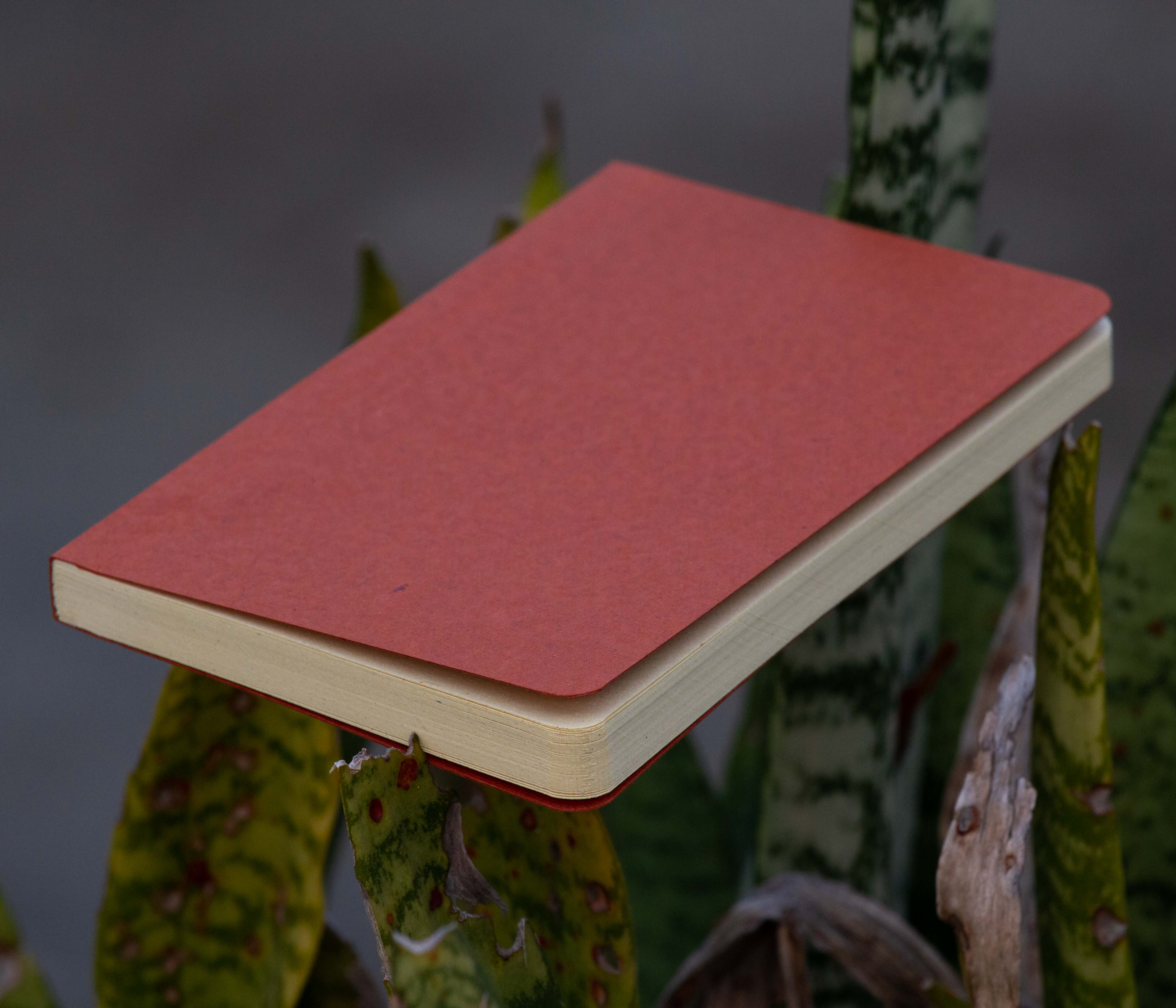 Tent Series Yellowish Page Hand Made Pinewood Texture Cover Notebook. 