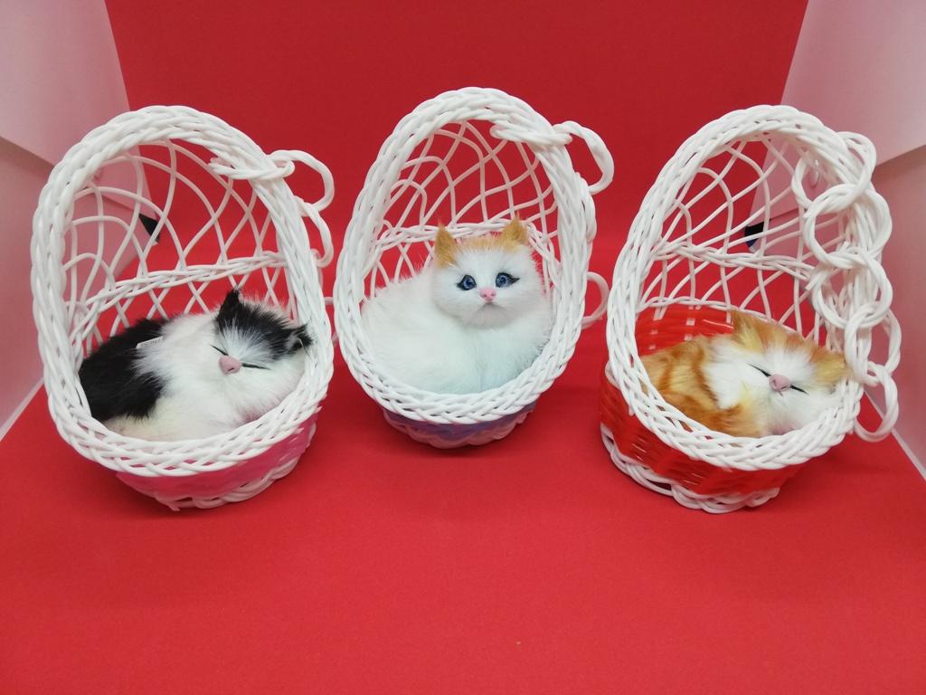 Basket Cat with Sound. 