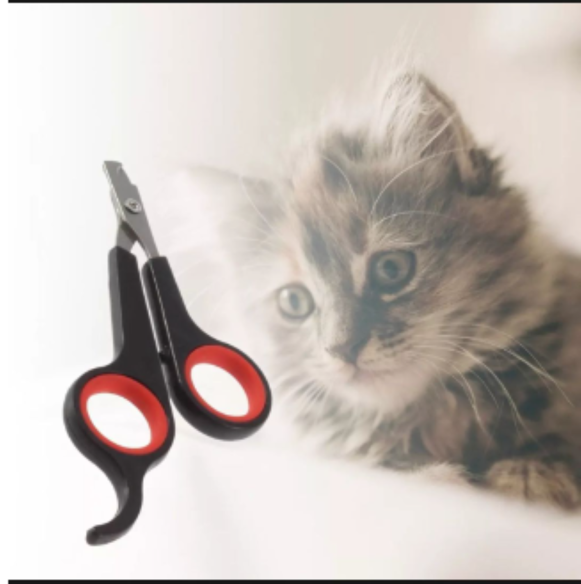 Cat & Dog Nail Cutter Stainless Steel
