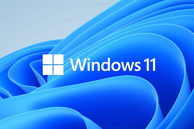 Windows 11 ((Professional Disk)). 