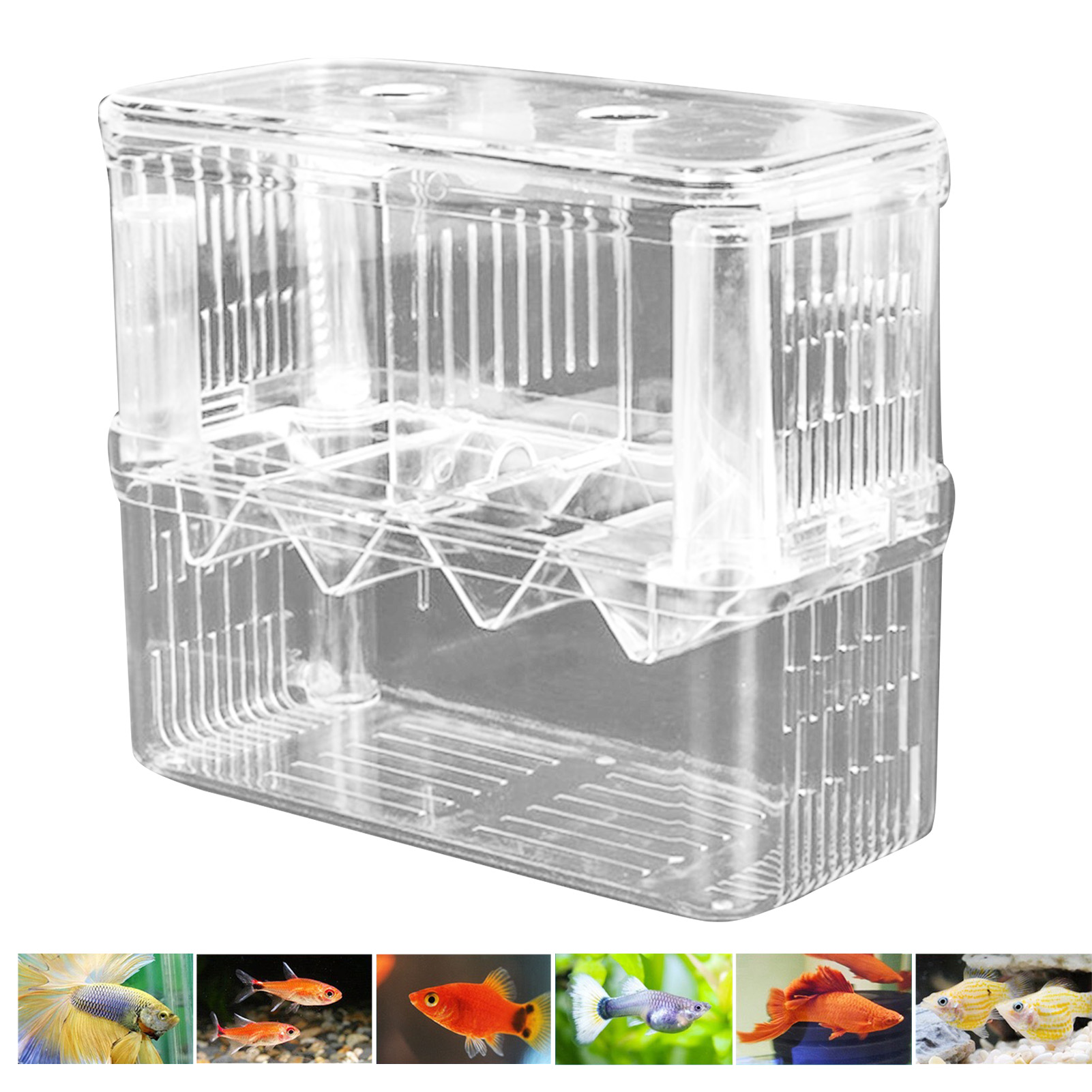 【Xiaofeng】Breeding Tank Versatile Aquarium Isolation Box. 