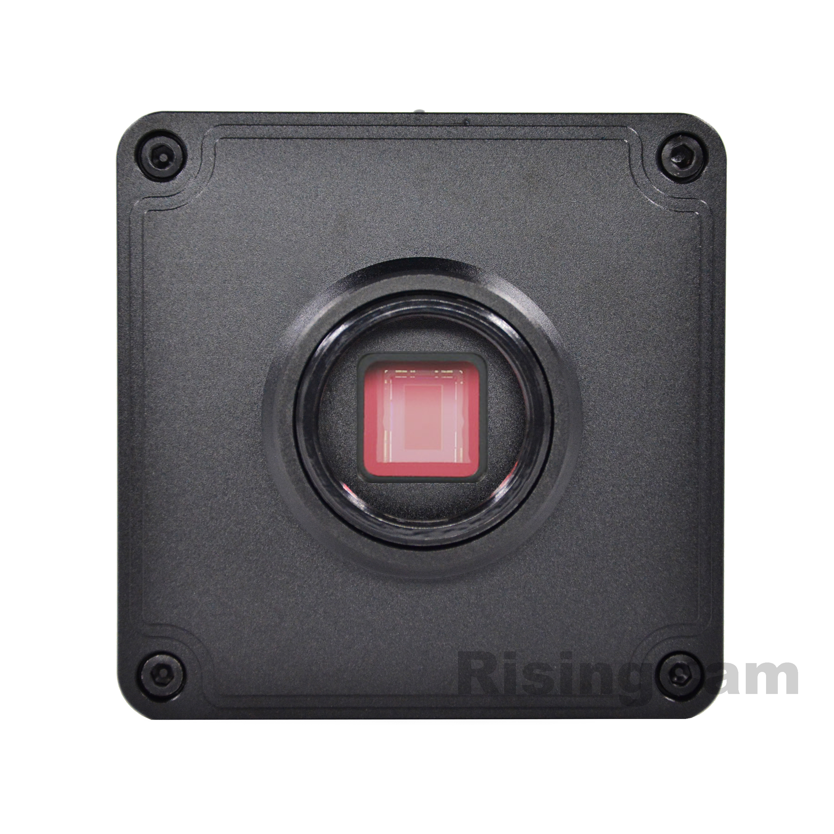 RisingCam New 4K FHD 60fps HDMI and USB output SONY imx334 sensor digital industrial 4K microscope camera for soldering repair. 