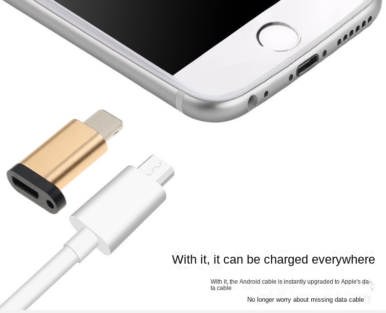 USB type C to lightning converter. 