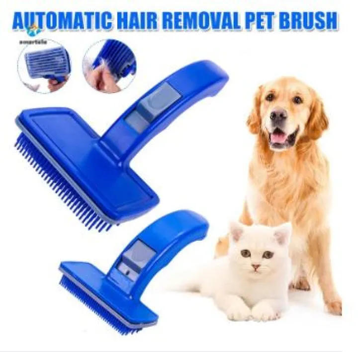 Does Brushing A Dog Reduce Shedding