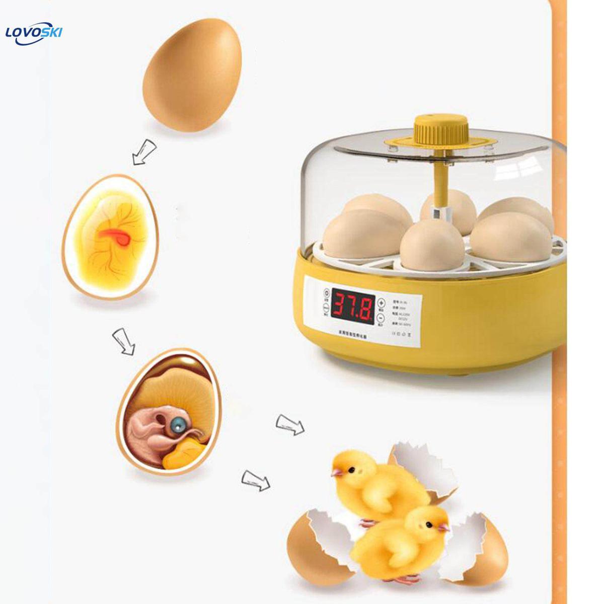Egg Incubator for Birds Automatic Household Temperature Control Bird Hatcher Fully automatic