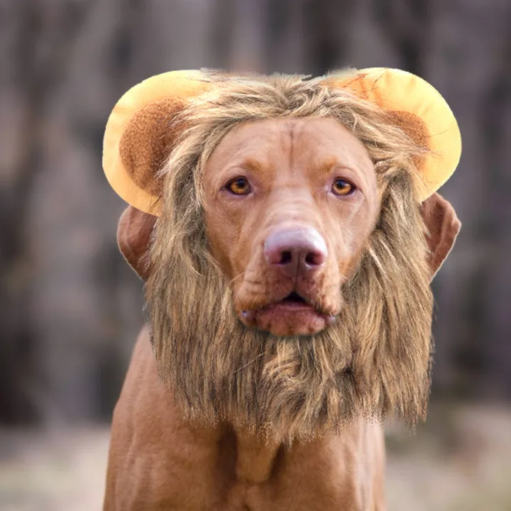 Furry Pet Hat Costume Lion Mane Wig For Dog Cat Halloween Dress Up W/ Ears  Party: Buy Online at Best Prices in Bangladesh 