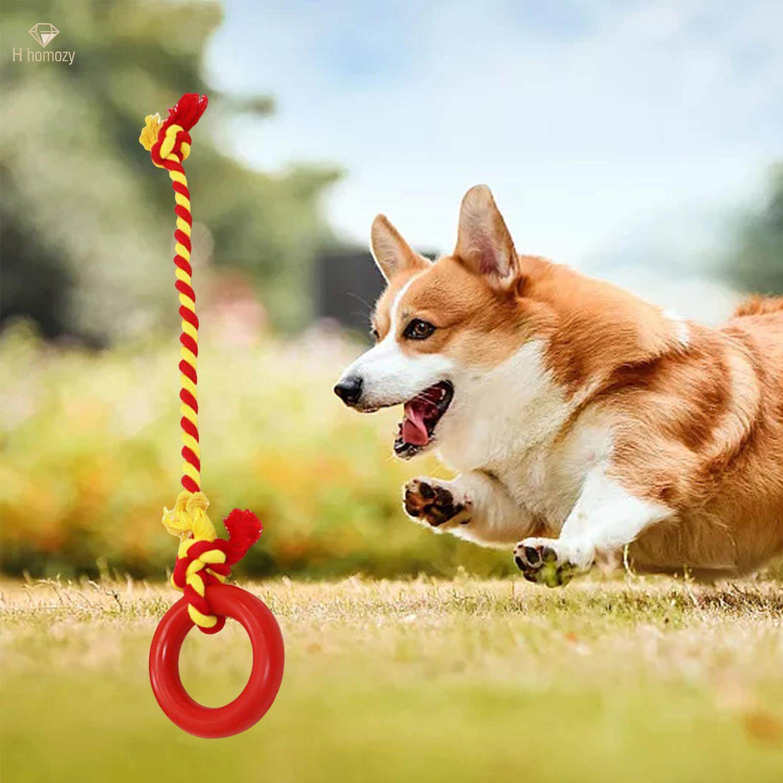 Chew Toys Yard Running Puppy Garden Dogs Rope Toy Interactive Dog Tug Toy Red. 
