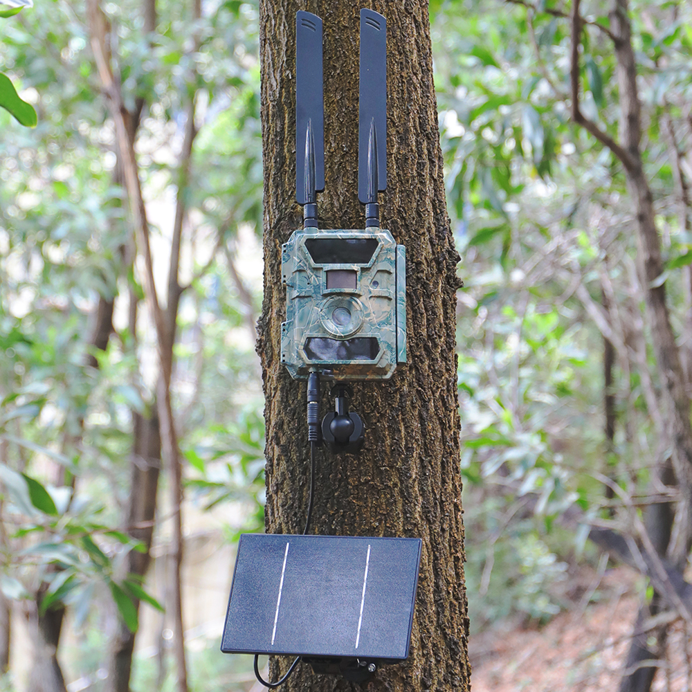 D4R 4W Solar Power Panel 18000mAh Powerbank Solar Fast Charging IP66 Waterproof 5V 6V Output Micro USB/Type C DC For Wild Camera. 