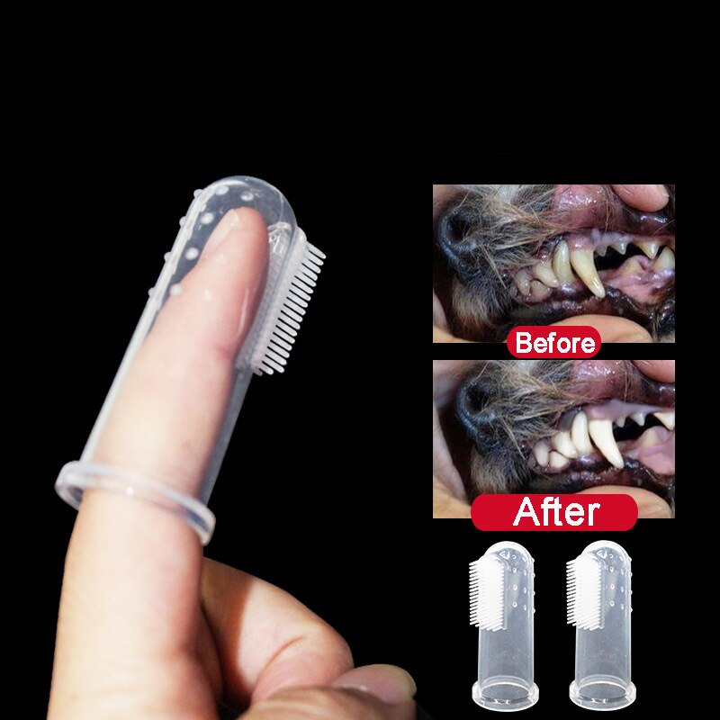loronz dog toothbrush