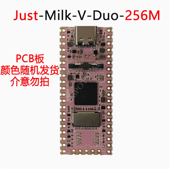 Milk-V Duo 256MB SG2002 RISC-V Linux development board replaces Raspberry Pi PICO. 