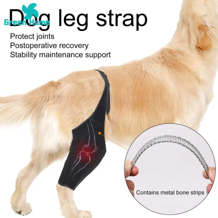 Dog rear leg acl 2024 brace