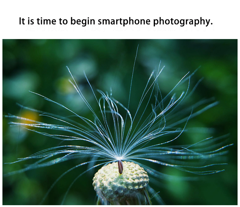 Kase Master Macro Lens 75MM For Smartphone | Daraz.com.bd