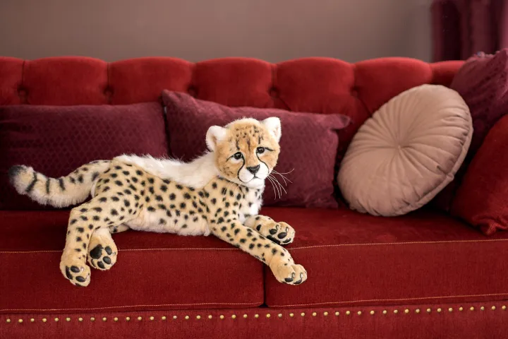 Baby Cheetah Plush Stuffed Animal: Buy Online at Best Prices in Bangladesh Baby Cheetah Plush Stuffed Animal: Buy Online at Best Prices in Bangladesh